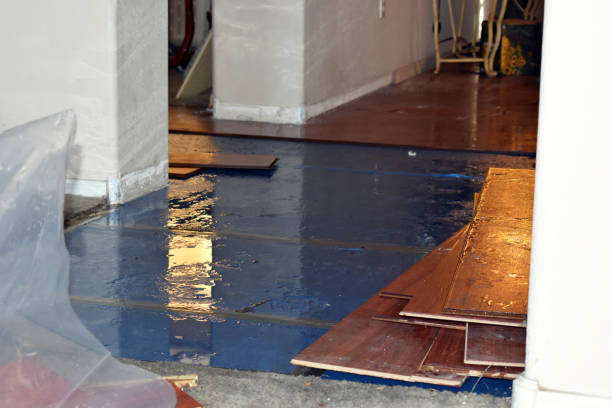 Professional Flood Cleanup technician working in Placerville, ID